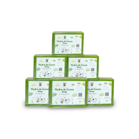6 Bar Soaps